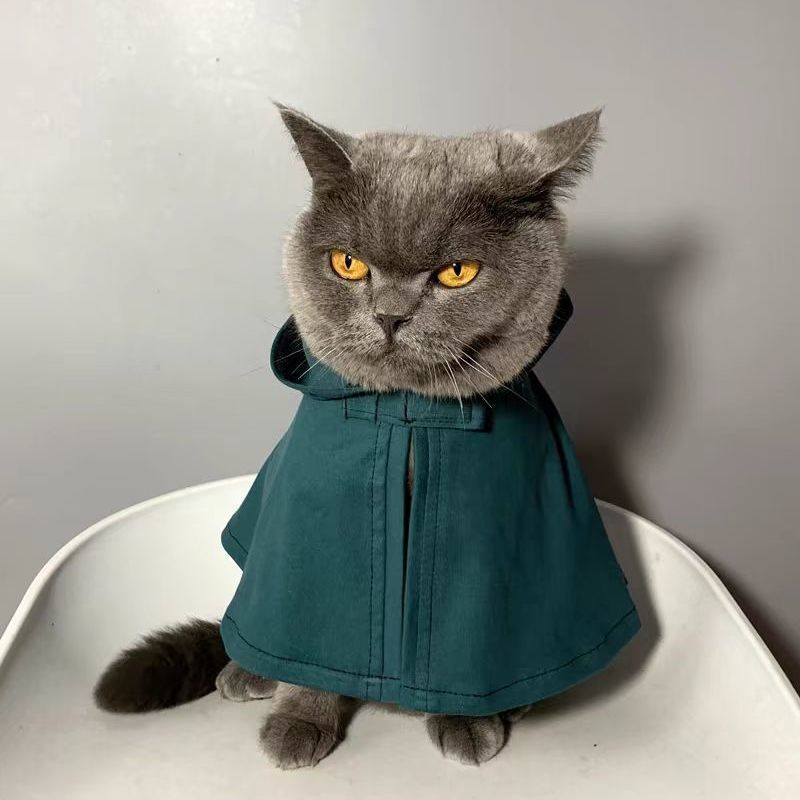 Jubah Anjing Jubah Kucing Anim - Attack Titan Cloak ulasan dan harga